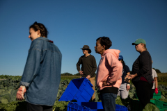 September 24, 2021: Senator John Kane volunteered with the Chester County Food Bank to provide fresh produce to families in need.