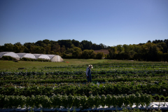 September 24, 2021: Senator John Kane volunteered with the Chester County Food Bank to provide fresh produce to families in need.