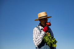 September 24, 2021: Senator John Kane volunteered with the Chester County Food Bank to provide fresh produce to families in need.