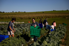 September 24, 2021: Senator John Kane volunteered with the Chester County Food Bank to provide fresh produce to families in need.