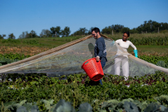 September 24, 2021: Senator John Kane volunteered with the Chester County Food Bank to provide fresh produce to families in need.