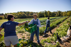 September 24, 2021: Senator John Kane volunteered with the Chester County Food Bank to provide fresh produce to families in need.