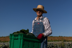 September 24, 2021: Senator John Kane volunteered with the Chester County Food Bank to provide fresh produce to families in need.