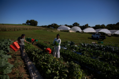 September 24, 2021: Senator John Kane volunteered with the Chester County Food Bank to provide fresh produce to families in need.