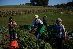 September 24, 2021: Senator John Kane volunteered with the Chester County Food Bank to provide fresh produce to families in need.