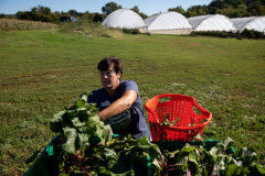 September 24, 2021: Senator John Kane volunteered with the Chester County Food Bank to provide fresh produce to families in need.