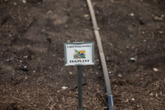 May 11, 2021: Senator Kane participates in the  PA Hunger Garden Dedication at the state Capitol. The bipartisan, bicameral Hunger Caucus works together with local master gardeners to provide hundreds of pounds of food from this garden every year for local organizations that fight food insecurity, including Downtown Daily Bread and the Central PA Food Bank.