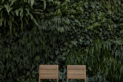 December 20, 2023: Senator Kane tours the stunning Longwood Gardens in the 9th Senate District