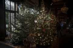 December 20, 2023: Senator Kane tours the stunning Longwood Gardens in the 9th Senate District