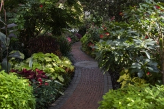 December 20, 2023: Senator Kane tours the stunning Longwood Gardens in the 9th Senate District