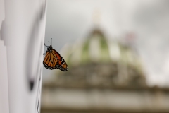 August 31, 2022: Overdose Awareness Day Vigil