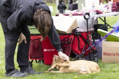 April 13, 2024: Senator John I. Kane and Representative Leanne Krueger hosted a Pet Expo at Upland Park in partnership with the Brandywine Valley SPCA and the Delaware County Kennel Club.