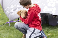April 13, 2024: Senator John I. Kane and Representative Leanne Krueger hosted a Pet Expo at Upland Park in partnership with the Brandywine Valley SPCA and the Delaware County Kennel Club.