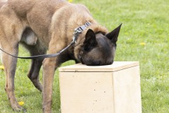 April 13, 2024: Senator John I. Kane and Representative Leanne Krueger hosted a Pet Expo at Upland Park in partnership with the Brandywine Valley SPCA and the Delaware County Kennel Club.
