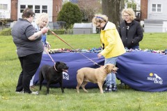 Abril 13, 2024: Senator John I. Kane and Representative Leanne Krueger hosted a Pet Expo at Upland Park in partnership with the Brandywine Valley SPCA and the Delaware County Kennel Club.
