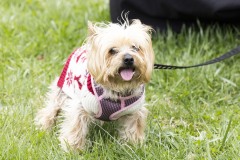 April 13, 2024: Senator John I. Kane and Representative Leanne Krueger hosted a Pet Expo at Upland Park in partnership with the Brandywine Valley SPCA and the Delaware County Kennel Club.