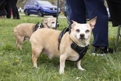 April 13, 2024: Senator John I. Kane and Representative Leanne Krueger hosted a Pet Expo at Upland Park in partnership with the Brandywine Valley SPCA and the Delaware County Kennel Club.