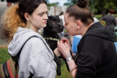 May 17, 2025: Senator Kane hosts annual Pet Expo.