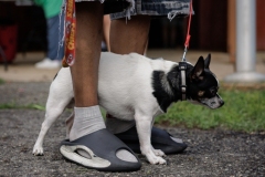 May 17, 2025: Senator Kane hosts annual Pet Expo.