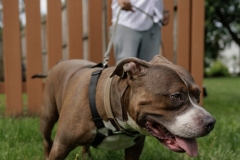 May 17, 2025: Senator Kane hosts annual Pet Expo.