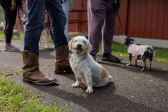 May 17, 2025: Senator Kane hosts annual Pet Expo.