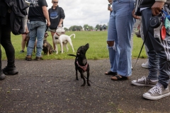 May 17, 2025: Senator Kane hosts annual Pet Expo.