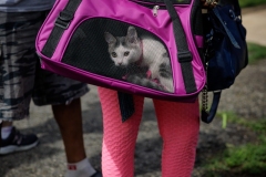 May 17, 2025: Senator Kane hosts annual Pet Expo.
