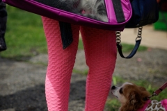 May 17, 2025: Senator Kane hosts annual Pet Expo.