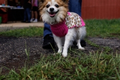 May 17, 2025: Senator Kane hosts annual Pet Expo.