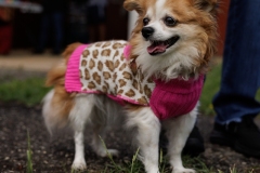 May 17, 2025: Senator Kane hosts annual Pet Expo.