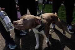 May 17, 2025: Senator Kane hosts annual Pet Expo.