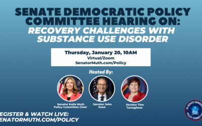 Senate Dems to Host Virtual Hearing Next Week on Recovery Challenges with Substance Use Disorder